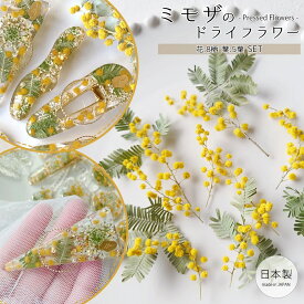【ドライフラワー】国産 ミモザ 花と葉 小分けセット ギンヨウアカシア リーフ 穂先 少量 花材 レジン封入 本物 日本製 アクセサリー キャンドル 手芸 クラフト GK