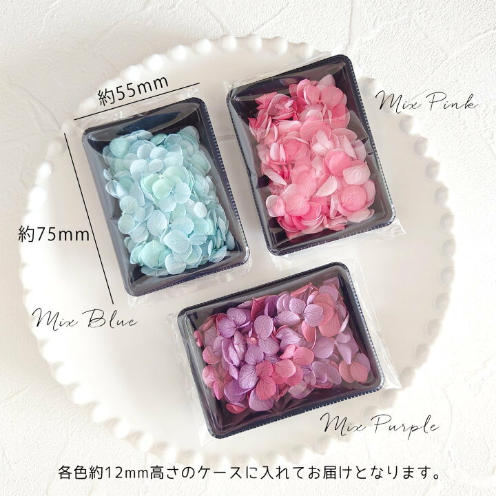 楽天市場】P最大10倍！マラソン期間中 エントリー＆店内買い回りで 