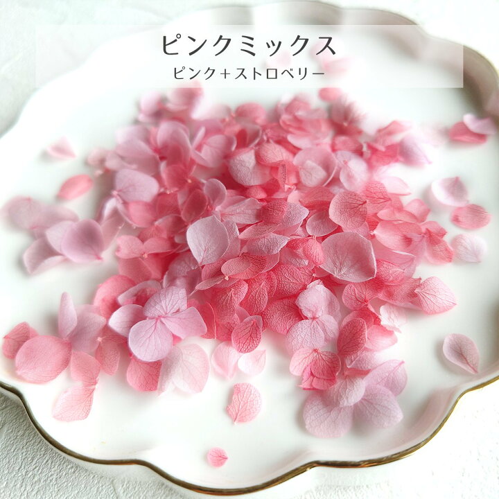 楽天市場】【訳ありアウトレット】【ドライフラワー】アジサイ 紫陽花  