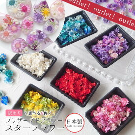 【訳ありアウトレット】【ドライフラワー】スターフラワー盛り プリザーブドフラワー 封入素材 花材 本物 ミニ 小さい レジン封入 パーツ 自然素材 ミックス B品 お得用《選べる6色》 GK