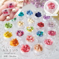 【ドライフラワー】カスミソウMIX かすみ草 かすみそう レジン封入素材 封入パーツ 花材 本物 自然素材 …