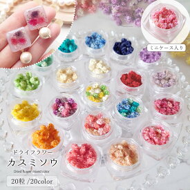 【ドライフラワー】カスミソウMIX かすみ草 かすみそう レジン封入素材 封入パーツ 花材 本物 自然素材 ミックス アクセサリー ハーバリウム UVレジン 手芸 クラフト《選べる20種類》 GK