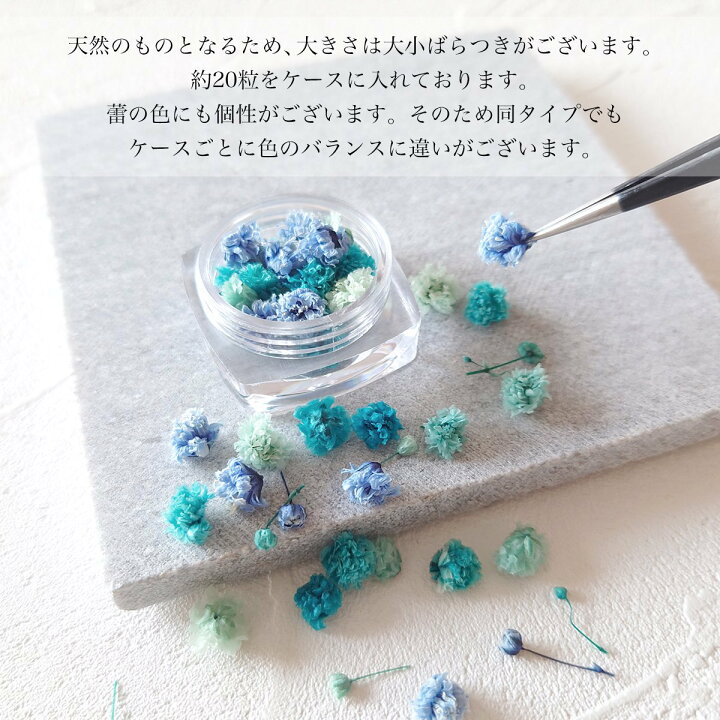楽天市場】【ドライフラワー】カスミソウMIX かすみ草 かすみそう 