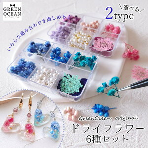 yhCt[zhCt[MIX NAP[X W Wpԍ  ~bNX {  ANZT[ GreenOceanIWiuhsIׂ2Ft GK