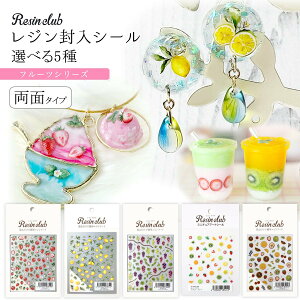 yV[zWNu WV[ ʃ^Cv t[c ʕ ʎ  Ԃǂ   ʈ  p[c UVW Ntg Resin ClubsIׂ5t GK