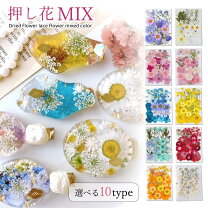 楽天市場】レジン パーツ 押し花の通販 