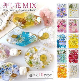 【押し花】押し花MIX 約33枚 アソートセット ドライフラワー レジン封入 ネイルパーツ ネイルアート 花材 はな flower プリザーブドフラワー 本物 植物 クラフト 手芸《選べる10種》