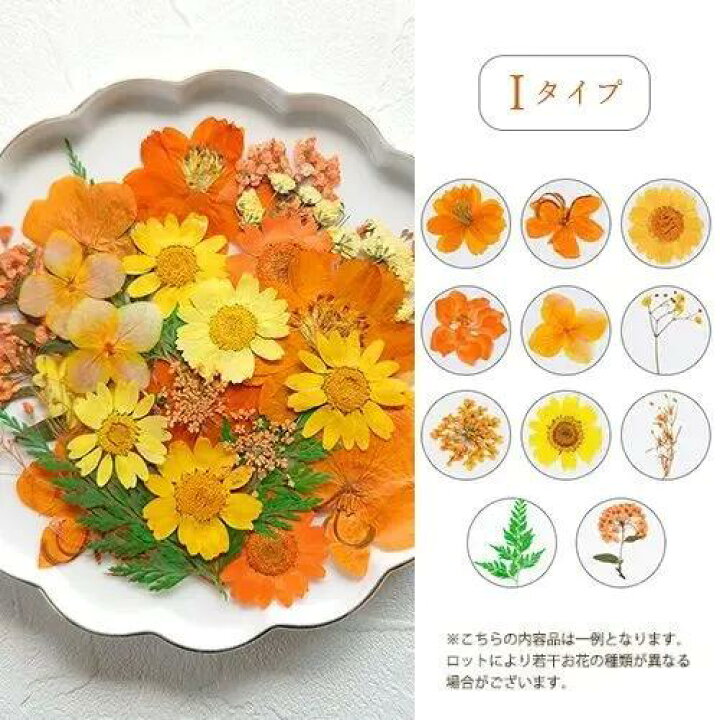 楽天市場】【押し花】押し花MIX 約33枚 アソートセット ドライフラワー 