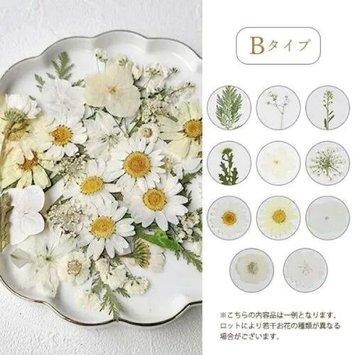 楽天市場】【押し花】押し花MIX 約33枚 アソートセット ドライフラワー  