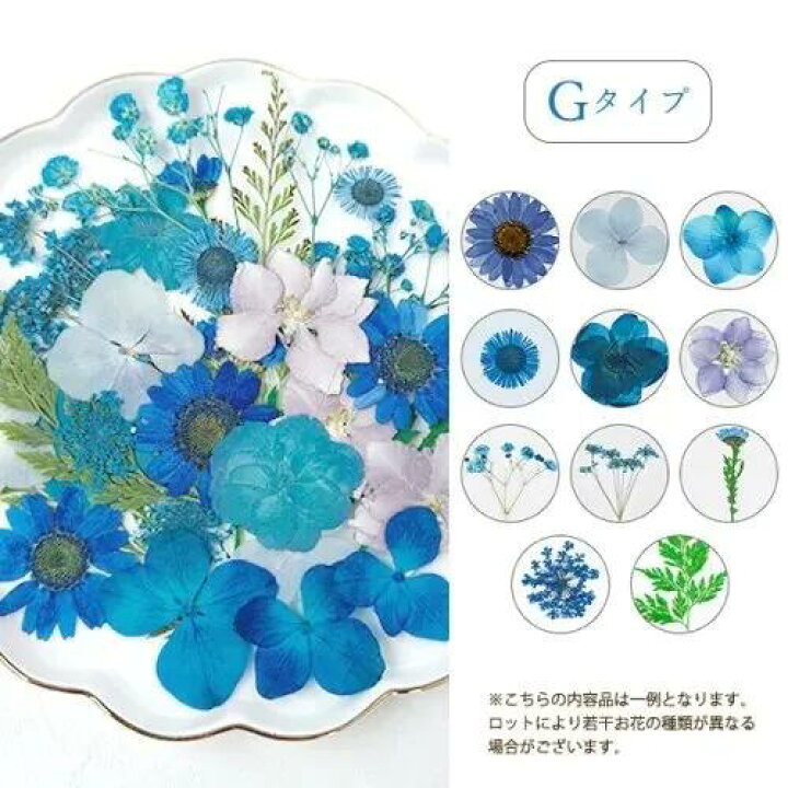楽天市場】【押し花】押し花MIX 約33枚 アソートセット ドライフラワー 