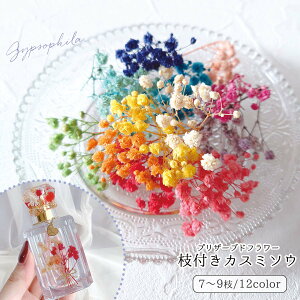 yhCt[z}tݑ ݂ JX~\E  vU[uht[ f ԍ { W p[c Rf P[X  n[oEsIׂ12Ft GK