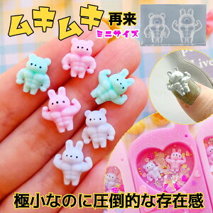 yVR^E[hzȂނނ܁E VR[h W^ 2Zbg ؓ   {fBr lCTCY fRp[c p[c UVW | Ntg GK