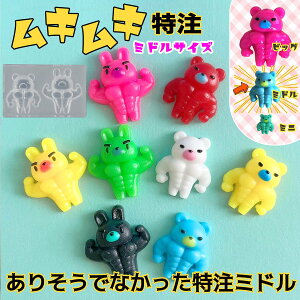 yVR^E[hzȂނނ܁E VR[h W^ 2Zbg ؓ   {fBr  MTCY fRp[c XNC[YW UVW Ntg G