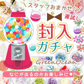 ■【福袋】数量限定！スタッフお任せ♪ 運試し 封入素材ガチャ 謎のお楽しみ福袋 詰め合わせ セット お買い得 UVレジン LEDレジン 手芸 クラフト 封入 GreenOceanオリジナル