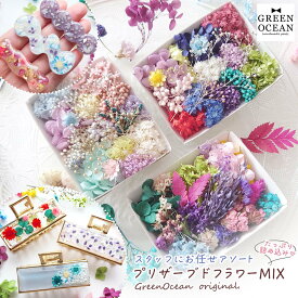 【プリザーブドフラワー】スタッフお任せ♪ 山盛りドライフラワー MIX アソート セット ミックス レジン 封入 素材 花材 本物 自然素材 パーツ ハーバリウム GreenOceanオリジナル GK