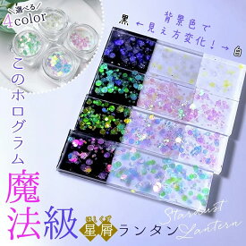 【封入】星屑ランタン 偏光ホログラム レジン封入素材 封入パーツ フレーク デコパーツ ケース入り 容器 シェイカー シャカシャカ 推し活 UVレジン 手芸 クラフト《選べる4色》