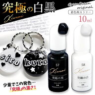 ＼楽天ランキング入賞／ 【着色剤】レジン着色剤 カラリー 極カラー 究極の白黒 単品 レジン着色料 不透…