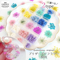 【ドライフラワー】プリザーブドフラワーMIX クリスパム レースフラワー レジン封入 レジン用花材 ミック…