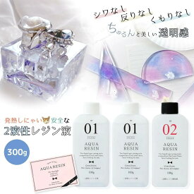 大容量！！【2液性レジン液】300g レジン液 NEWアクアレジン1：2 GreenOcean クリスタルレジン エポキシ樹脂 二液性レジン液 AQUARESIN クリア ビーズアンドパーツ アクセサリーパーツ 業務用 大容量 大量 綺麗 ハード 艶 ベタつかない クラフト 手芸 テーブル GK