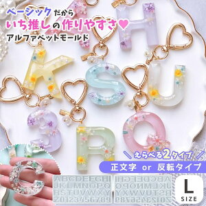 yVR^E[hzAt@xbgƐ VR[h SVbN LTCY W^ Zbg ]   傫 啶 p p  CjV UVWsIׂ2t