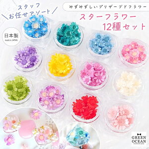 yhCt[z X^[t[12P[X J[CvU[uht[ TCY~bNX W Wpԍ ~bNX {  GreenOceanIWiuh