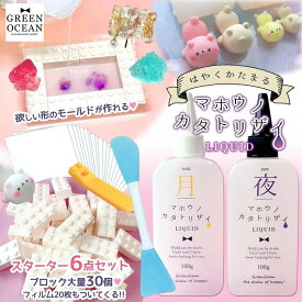 【型取り剤】シリコンモールドが作れる マホウノカタトリザイ リキッド スターター6点セット 200g シリコン型 レジン型 レジン液 DIY 手芸 パーツ ヘラ ブロック フィルム GK