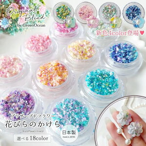 yhCt[zY Ԃт̃JPMIX vU[uht[ Wf p[c { ԍ {   GreenOceanIWiuhsIׂ18Ft