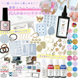 【レジンセット】ライトもコート剤も入ってる♪ レジンスターターキット 初心者 説明書 豪華 アクセサリー 子供 女の子 女子 高学年 中学生 大人 プレゼント 送料無料
