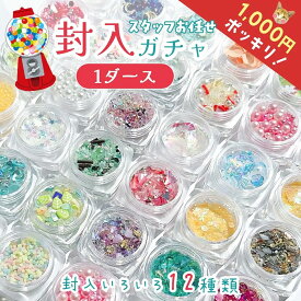 □■ゆうパケ送料無料【福袋】1000円ポッキリ♪ スタッフお任せ 封入12個セット 蓄光 パール ホログラム オリジナルブレンド レジン封入素材 封入パーツ シェイカー デコパーツ