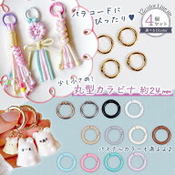 【0のつく日P5倍】【キーホルダー】4個 小さめ 丸型カラビナ 24mm 16mm 金具 リング パーツ 資材 ナスカ…