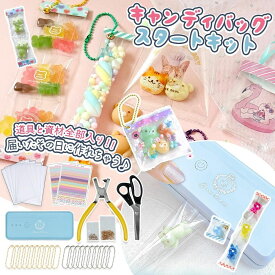 【0のつく日P5倍】★☆送料無料【手作りキット】キャンディバッグスタートキット 道具 材料 スタートセット 初心者 作り方 キーホルダー チャーム 親子で 子供 女の子 高学年 プレゼント GreenOcean