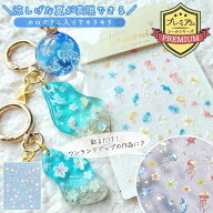 【シール】プレミアムレジンシール 夏 海 マリン リゾート くらげ プルメリア イルカ ひとで シェル 透明…