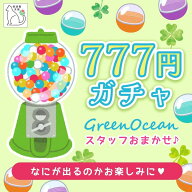 ■ スタッフお任せ♪ 777円 保護猫支援 ガチャ 花材 お楽しみ袋 ランダム 詰め合わせ UVレジン シリコン…