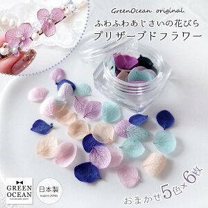 yhCt[zỶԂт 5F×6~bNX X^btC vU[uht[ AWTC z f ԍ { W GreenOceanIWi GK