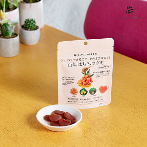 y22NLO ő20OFFzy[֔zz傤ԂȂ SN݂͂O~ V[x[SN ݂͂ َq  V[obN\[ TW[ n`~c I YO~ Mgt[