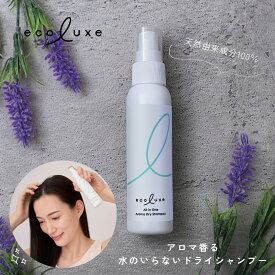 【土日祝日即日配送】エコリュクス オールインワン アロマ ドライシャンプー 100ml ecoluxe 水のいらないシャンプー ノンシリコン オーガニック シャンプー 防災 介護 頭皮ケア 携帯 時短 旅行 アウトドア キャンプ 4935137805418