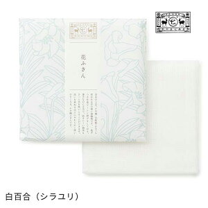 y125ő100%|CgobNzy[OKz쐭X ʂL Ԃӂ z ӂ _X^[ @ Lb`}bg H@ 쐭X v`Mtg j