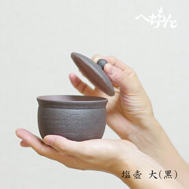 【1月15日限定最大100%ポイントバック】塩壺 大 しおつぼ 塩壷 保存容器 信楽焼 陶器 日本製 ソルトポット さらさら へちもん