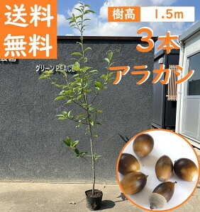  150cm 3{Zbg V{c[ _  Ύ ǂ񂮂yAJV3{Zbg@1.5mOz