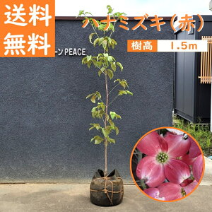  150cm  V{c[  t Ԑ ^yni~YL(ԉ) 1.5mOz