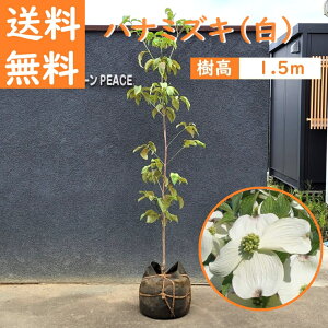  150cm  V{c[  t Ԑ A ^yni~YL() 1.5mOz