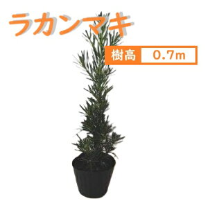 70cm _ V{c[  Ύ ayJ}L 0.7mOz