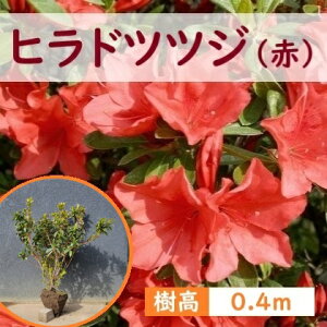 40cm  Ԑ_  Ύ a ˂yqhccW() 0.4mOA0.4mz