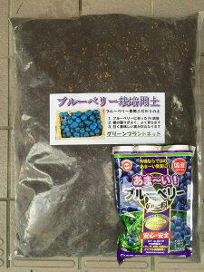 u[x[p͔|y̓y10bg{L@엿500gZbg