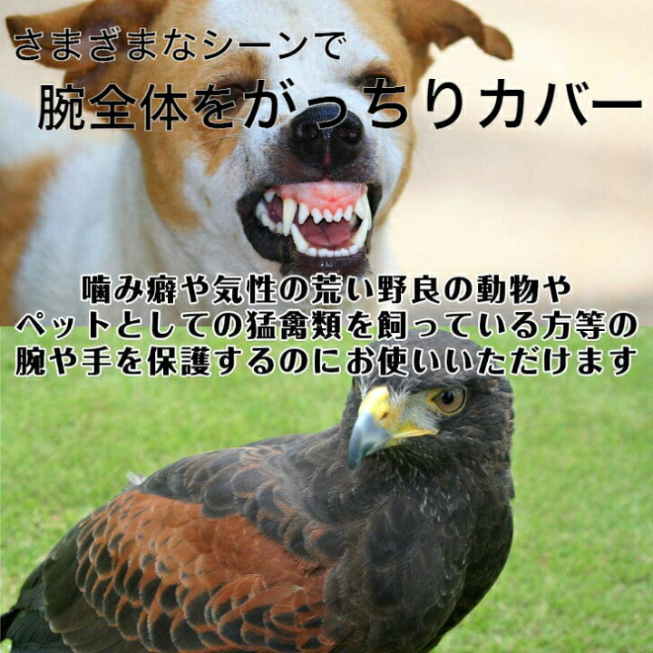 楽天市場 楽天ランキング入賞 ペットグローブ 噛みつき 手袋 厚手 犬 猫 グローブ グリーン 噛みつき防止 しつけ 躾 牛革 引っかき 犬 猫 耐熱性 耐久性 傷防止 園芸 キャンプ イヌ ネコ 保護 爬虫類 革手 プレゼント Greenproショップ 楽天市場 楽天ランキング入賞 ペットグローブ 噛みつき 手袋 厚手 犬 猫 グローブ グリーン 噛みつき防止 しつけ 躾 牛革 引っかき 犬 猫 耐熱性 耐久性 傷防止 園芸 キャンプ イヌ ネコ 保護 爬虫類 革手 プレゼント Greenproショップ