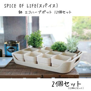 SPICE OF LIFE(XpCX)  GRn[u|bg12&gCZbg BENIGN Thx[W a7.5cm ꌊ n[u K[fjO TBGH2039BE