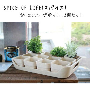 SPICE OF LIFE(XpCX)  GRn[u|bg12&gCZbg BENIGN Thx[W a7.5cm ꌊ n[u K[fjO TBGH2039BE
