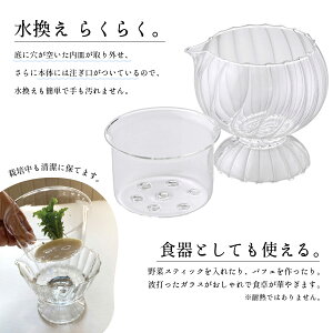 SPICE OF LIFE(XpCX) Ďny {xWKX EhJbv Đ GR ͔| k͔| ւȒP a12cm KEGY2120