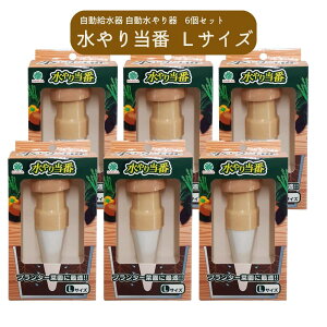 }n`Y(Maruhachisangyou) 蓖 LTCY 2 /6Zbg 104499