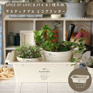 SPICE OF LIFE(XpCX) Aؔ TXeBiu GRv^[ BENIGN XNGA Thx[W 45.5cm s31cm 13cm Op TBGF1020SBE